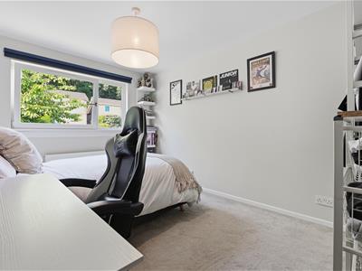 Picture 21